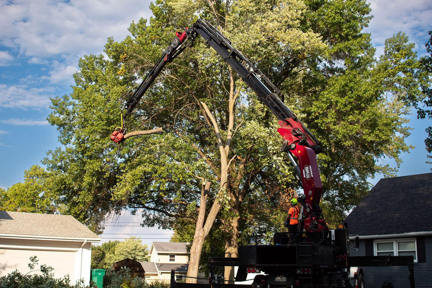Tree pruning at a residential property