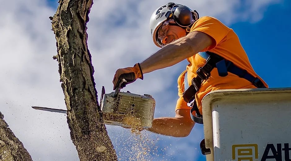 Tree removal equipment at a work site
